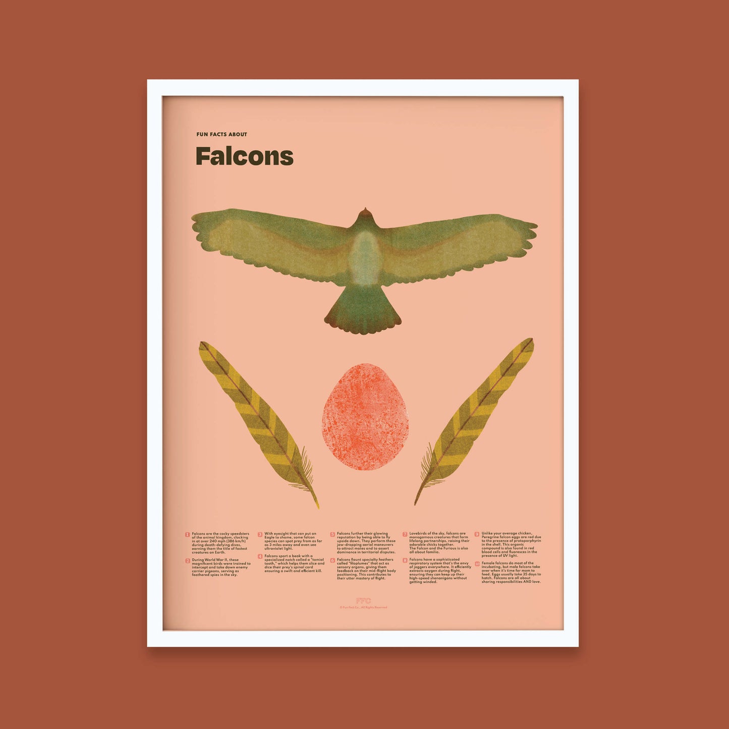 Falcon Fun Facts Print
