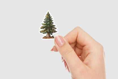 Majestic Redwood Tree Vinyl Sticker