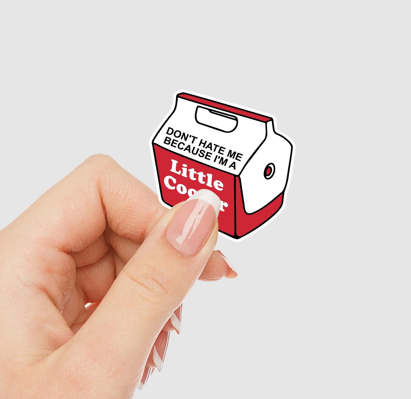 Don't Hate Me Because I'm A Little Cooler Vinyl Sticker