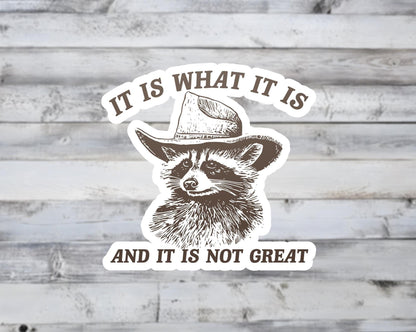 It Is What It Is And It Is Not Great Vinyl Sticker