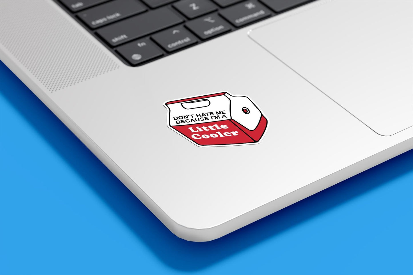 Don't Hate Me Because I'm A Little Cooler Vinyl Sticker