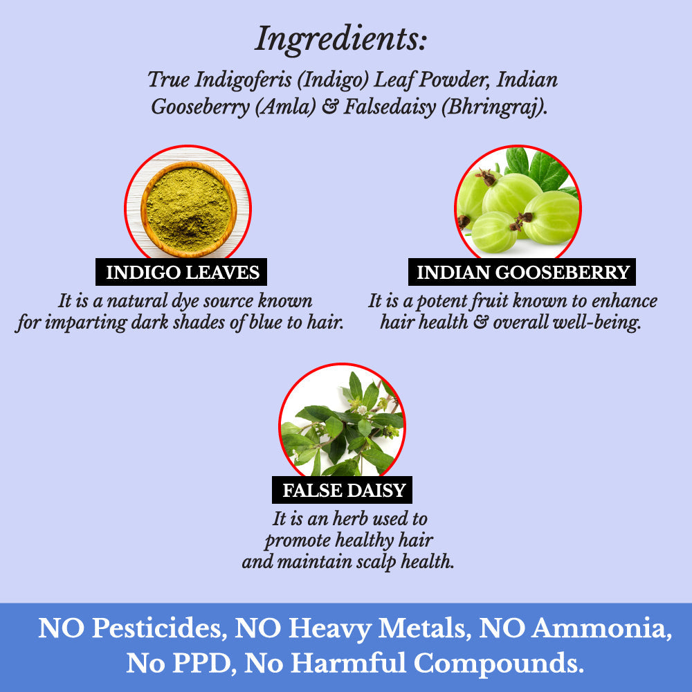 Hair Bloom Natural Blue Black Hair Color- Herbal Indigo w/ False Daisy & Gooseberry Hair Color Powder- 12 individual sachets (10 gm each)- Reusable Brush & Tray Included