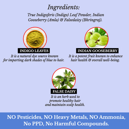 Hair Bloom Natural Blue Black Hair Color- Herbal Indigo w/ False Daisy & Gooseberry Hair Color Powder- 12 individual sachets (10 gm each)- Reusable Brush & Tray Included