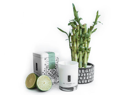 Meditation - Bamboo, Amber and Aloe Soy Candle