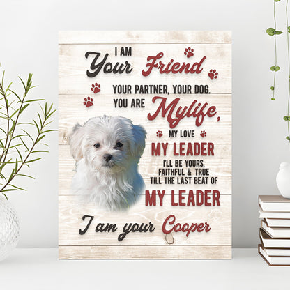 Pet Memorial Sign I Am Your Friend