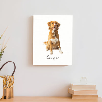 Custom Pet Memorial Sign