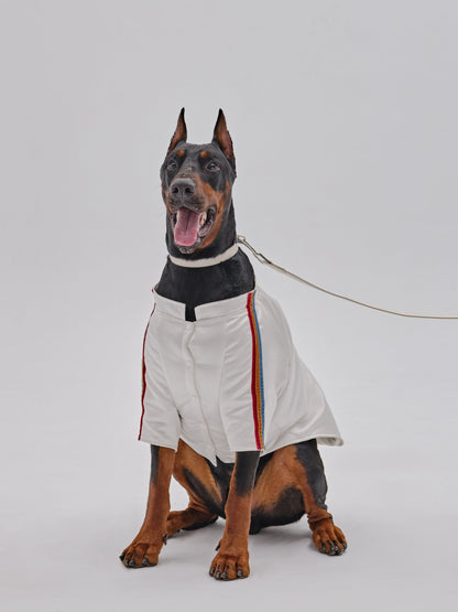 PET VELVET STRIPED JACKET