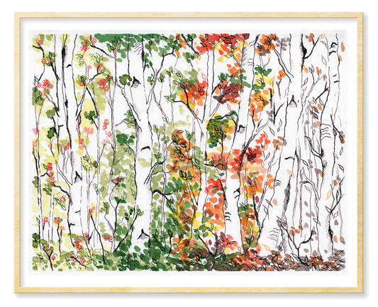 Birch Forest, Four Seasons - Print