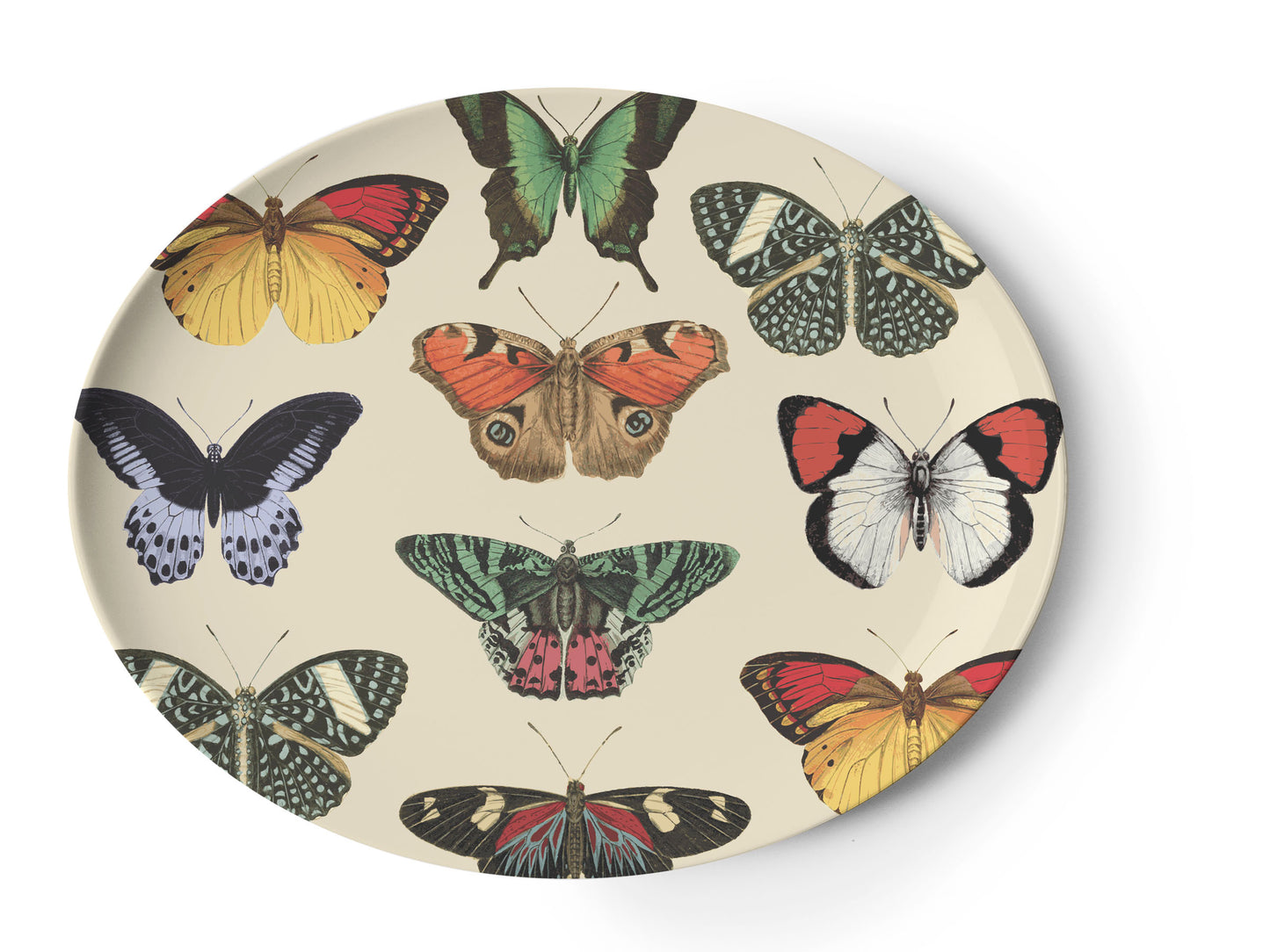 Metamorphosis Oval Platter