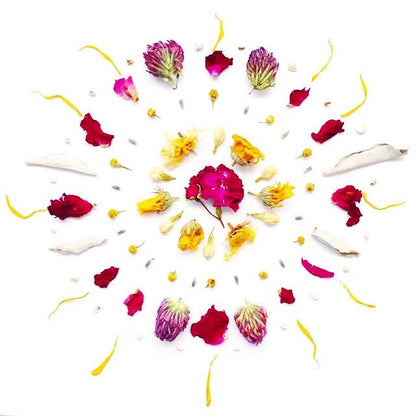 Wild Flower Hair Serum