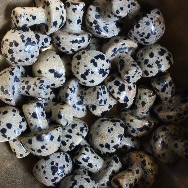 Mini Crystal Mushrooms, Dalmatian Jasper