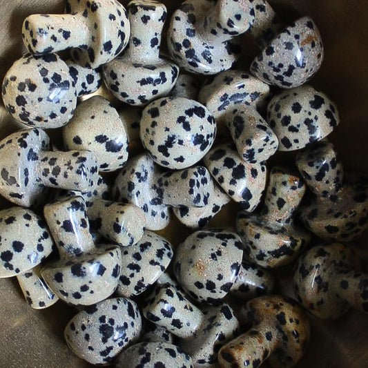 Mini Crystal Mushrooms, Dalmatian Jasper